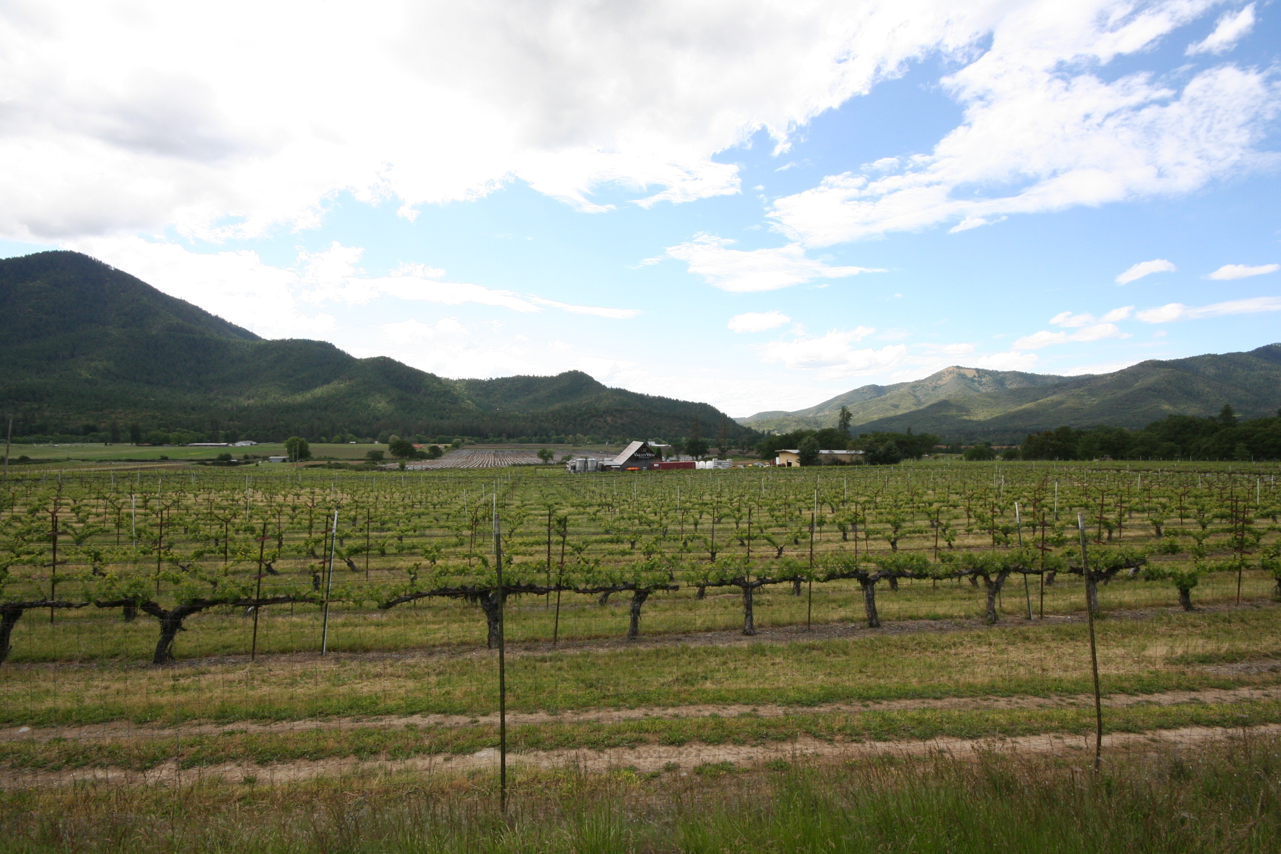 Vineyards and wineries in the Applegate Valley